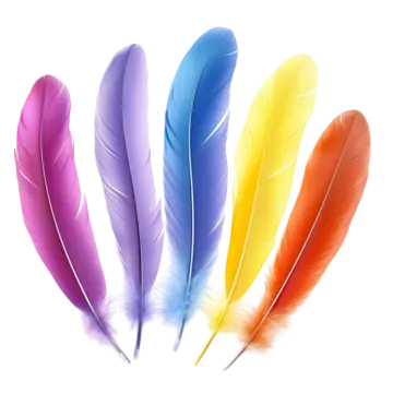 ريشة فنيات فورس