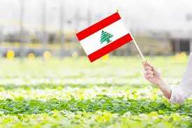 علم لبنان كبير عصا بلاستيك 45*60