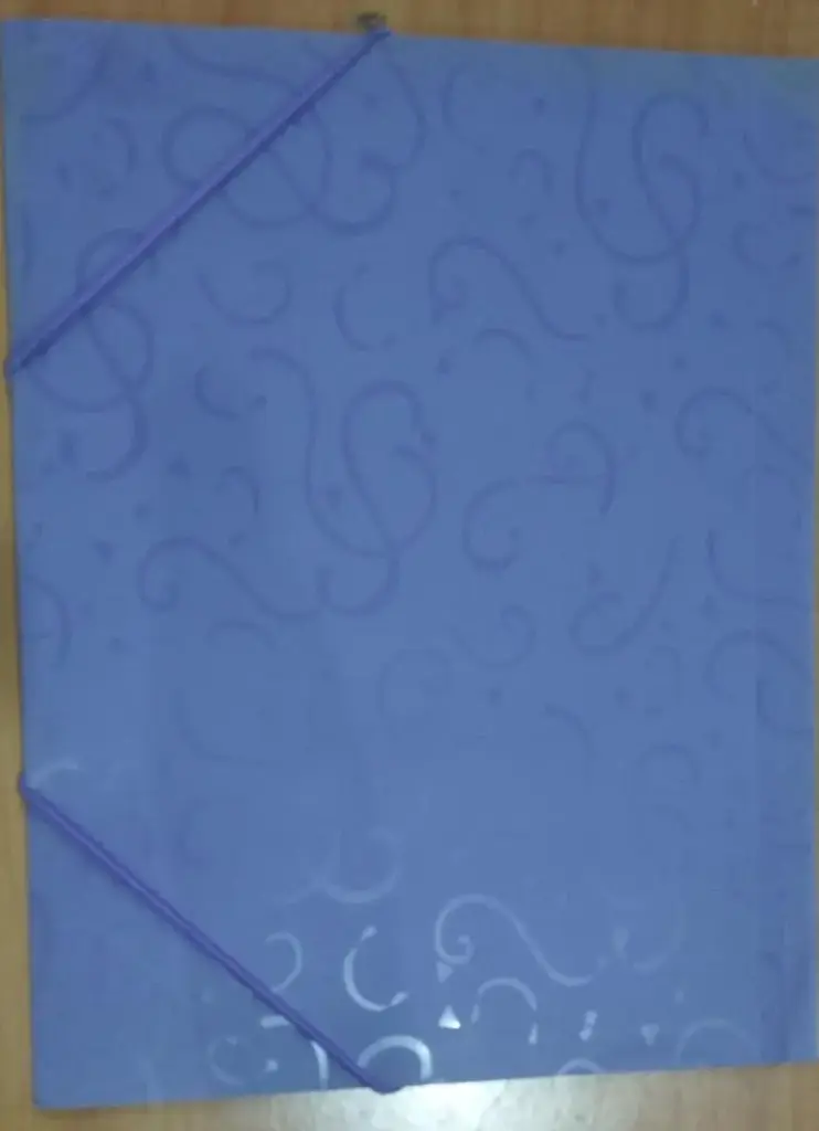 فايل بلاستيك مع مغيطة ****