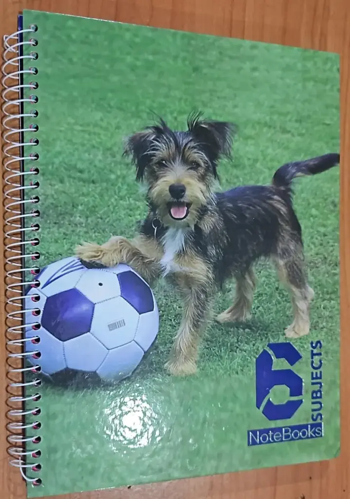 [DRHCS120-6S] دفتر رسور 120 ورقة 6 مواضيع حساب hard cover %