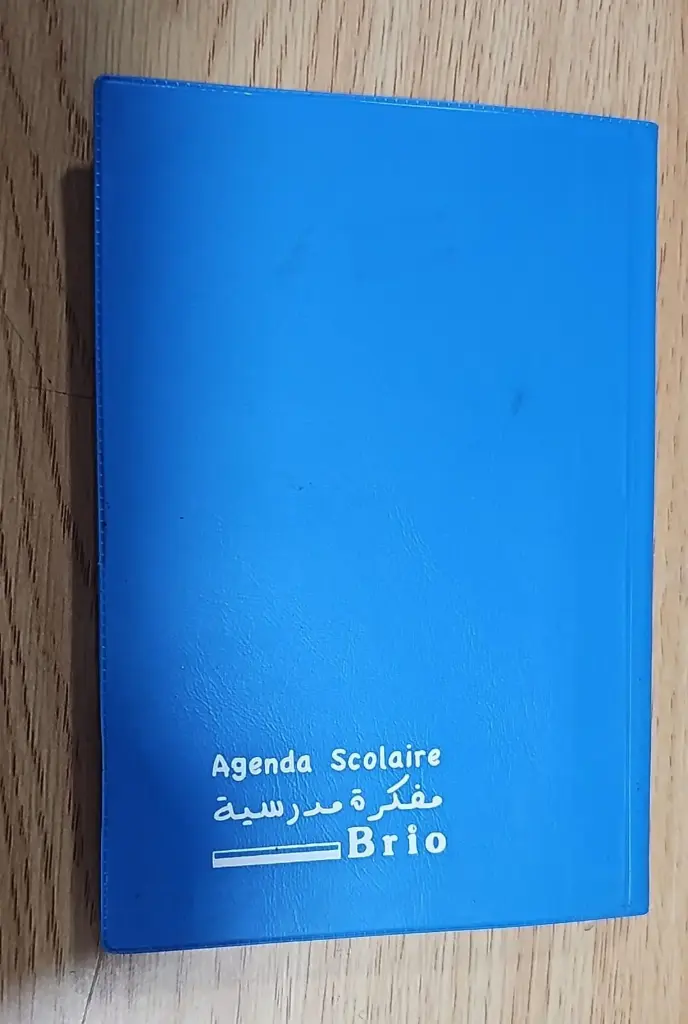 اجندة جلد باسيل