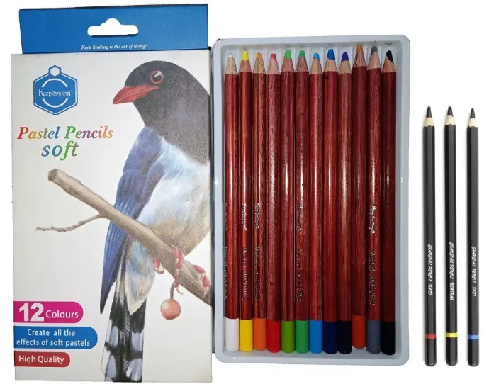 [TB-1020] Pastel pencils - 12pcخشب 